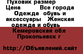 Пуховик размер 42-44 › Цена ­ 750 - Все города Одежда, обувь и аксессуары » Женская одежда и обувь   . Кемеровская обл.,Прокопьевск г.